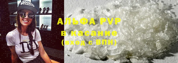 PSILOCYBIN Бронницы