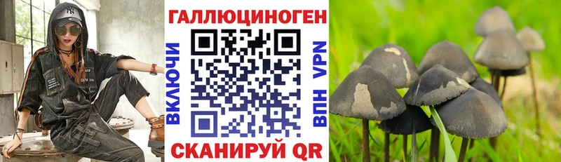 закладка  Гатчина  Галлюциногенные грибы ЛСД 