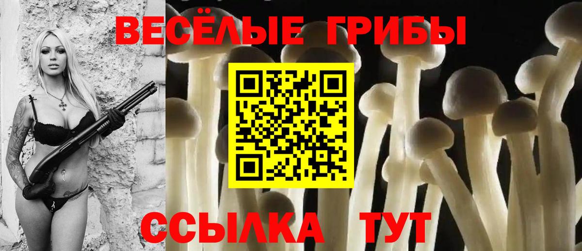 Галлюциногенные грибы Magic Shrooms Гатчина
