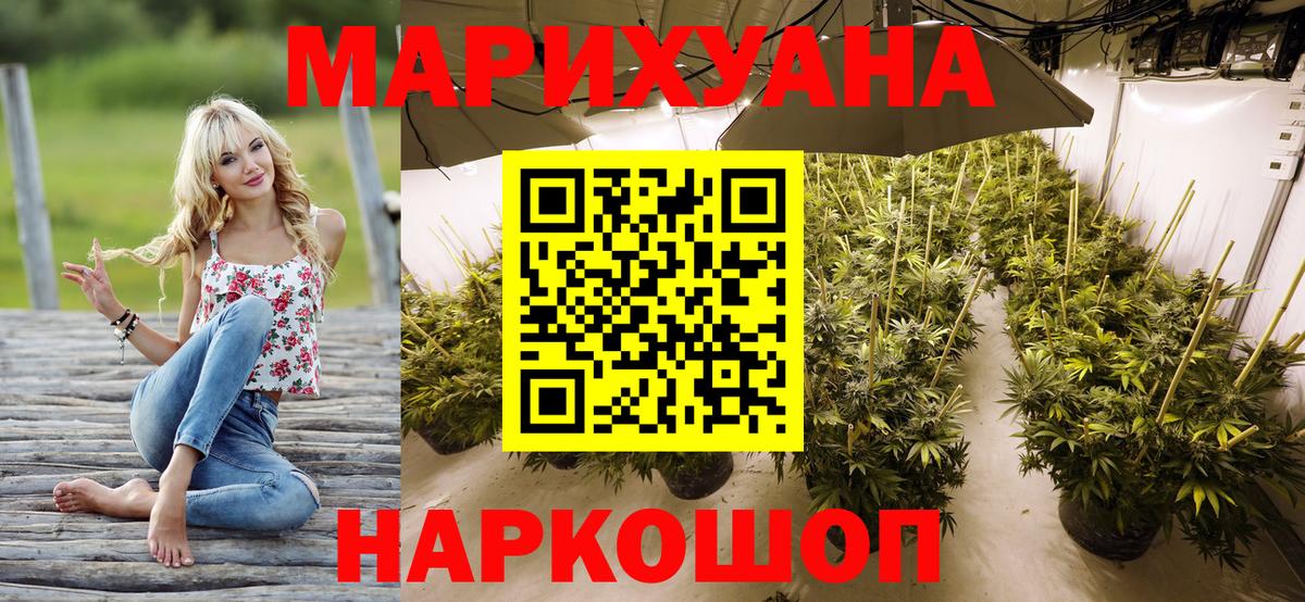 Бошки марихуана сатива  Конопля сатива  Гатчина  Вход с VPN 